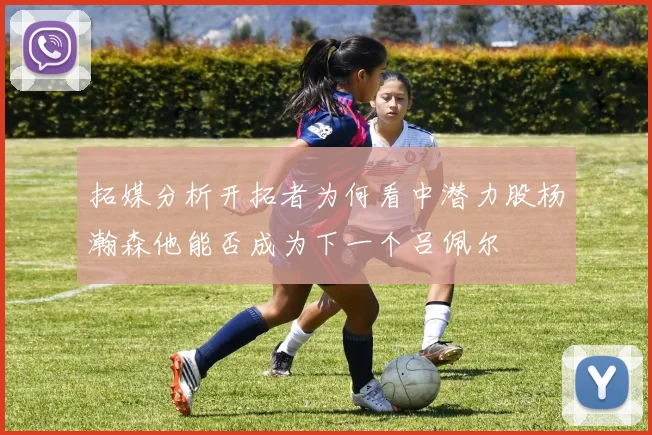 拓媒分析开拓者为何看中潜力股杨瀚森他能否成为下一个吕佩尔